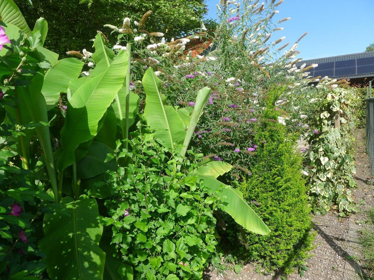 B&B De Kleine Wijngaard Roggel Luaran gambar