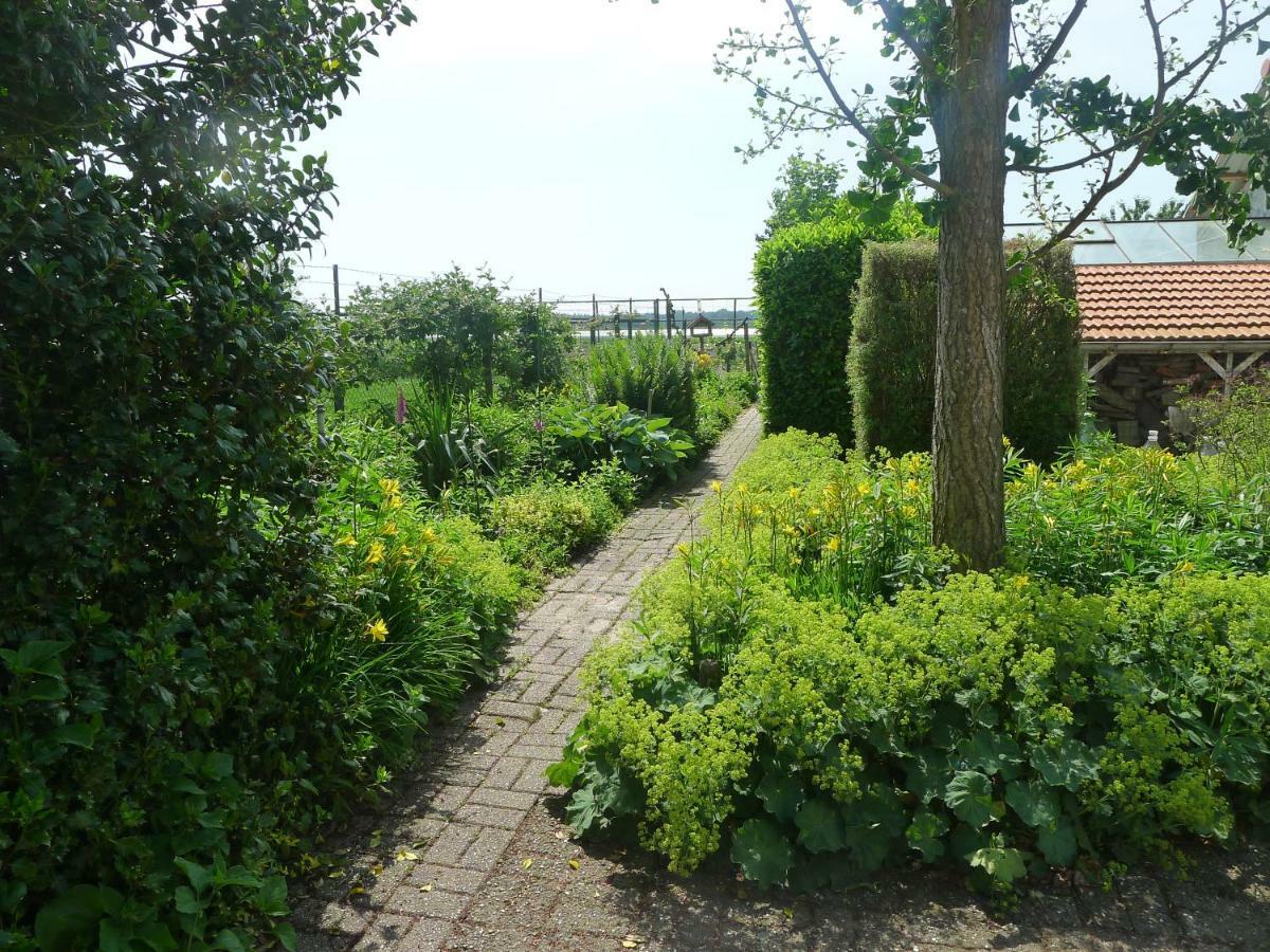 B&B De Kleine Wijngaard Roggel Luaran gambar
