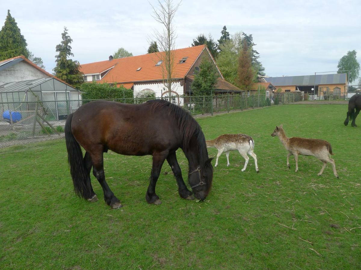 B&B De Kleine Wijngaard Roggel Luaran gambar